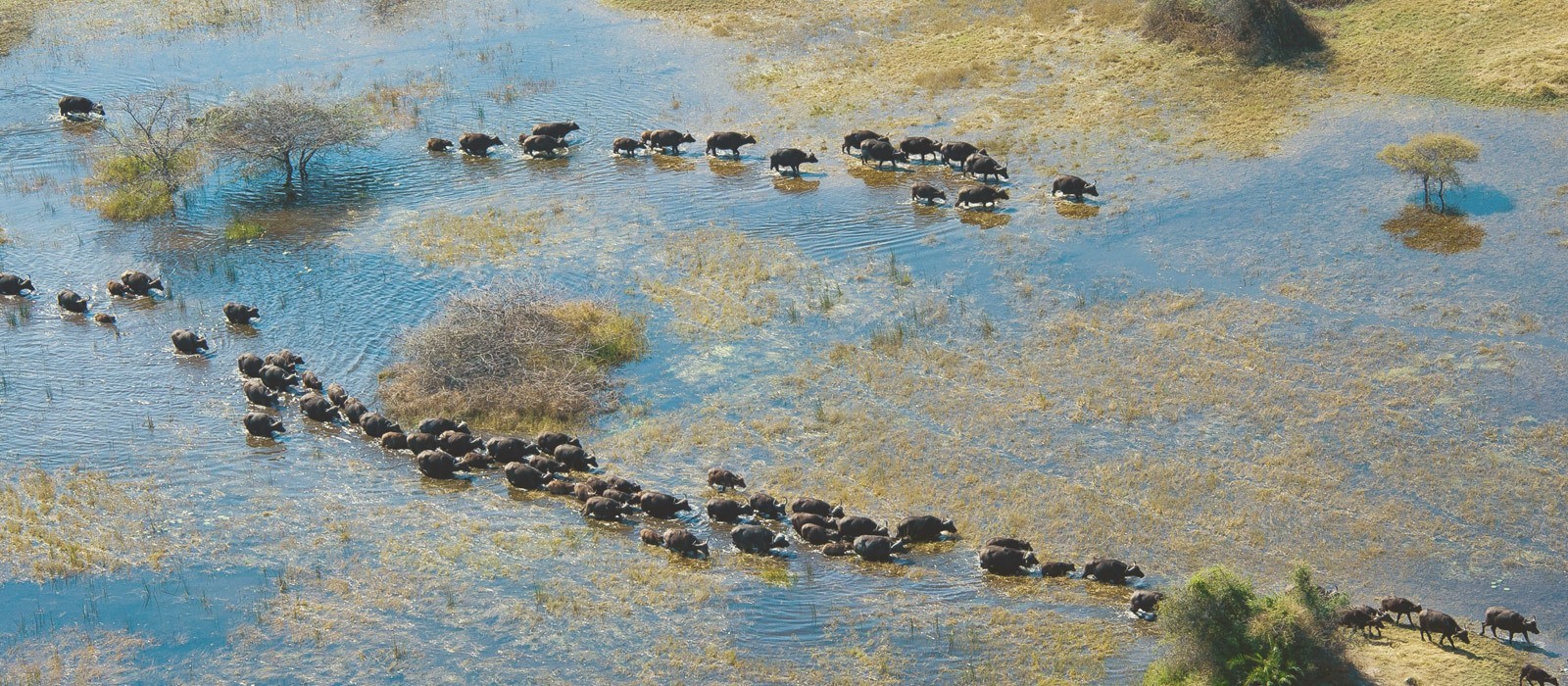 Botswana Reiseführer & Informationen Enchanting Travels