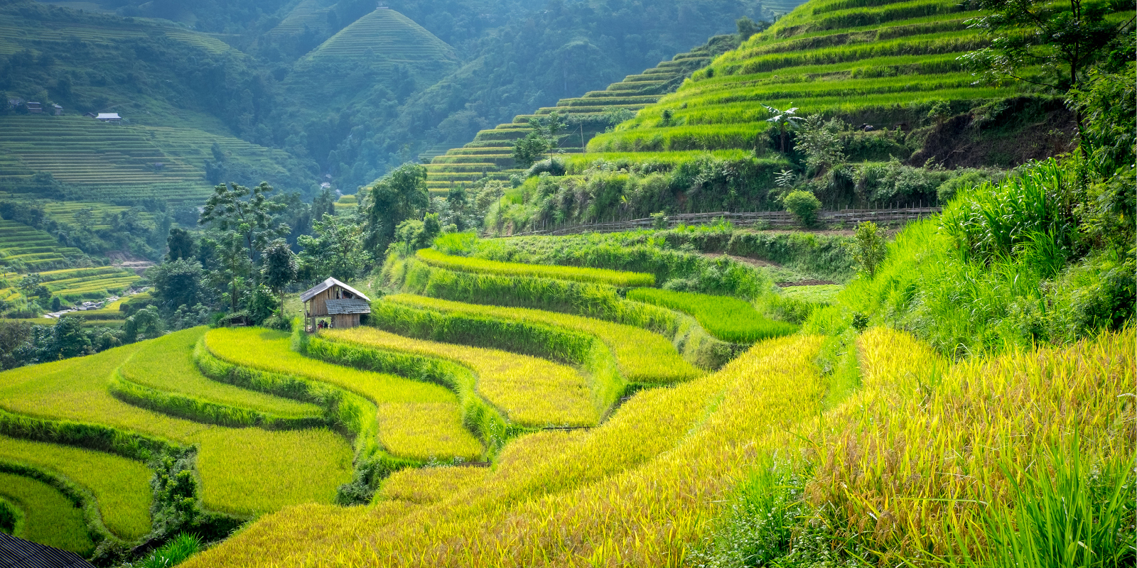 Lao Cai Trips & Custom Vietnam Tours | Enchanting Travels