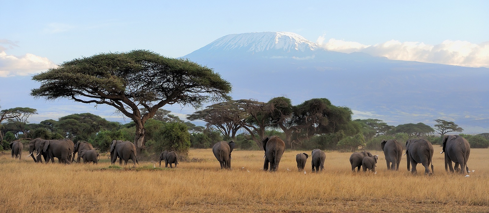 Tailor-made Northern Tanzania Safari | Enchanting Travels